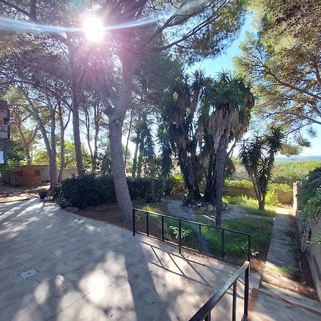 Chalet Rustico Con Piscina Y Barbacoa, Valencia 토런트 외부 사진